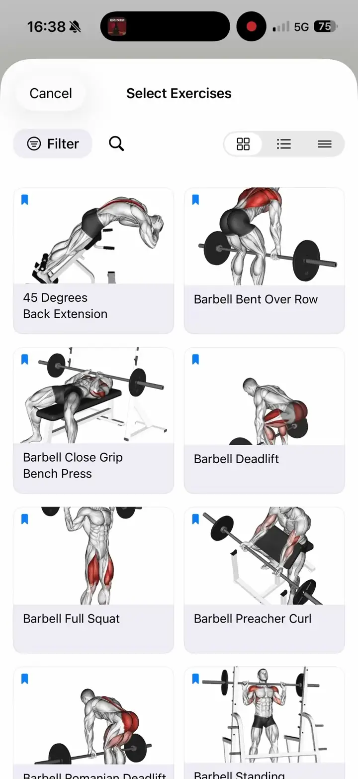Musklr exercise grid with anatomy thumbnails for each lift